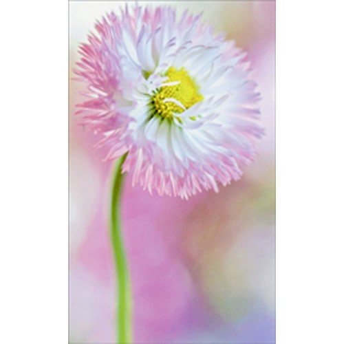 Pink Flower Mum Mini Blank Gift Enclosure Card