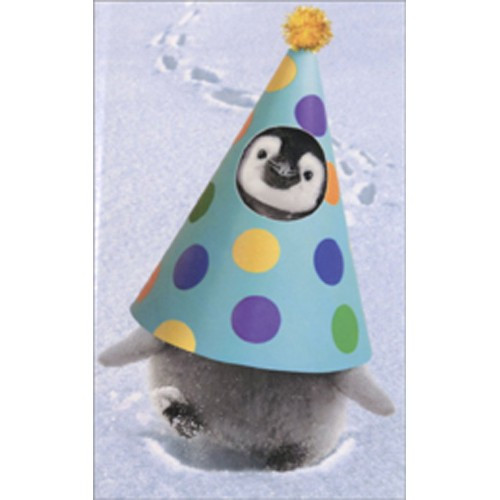 Penguin Party Hat Mini Blank Funny Gift Enclosure Card