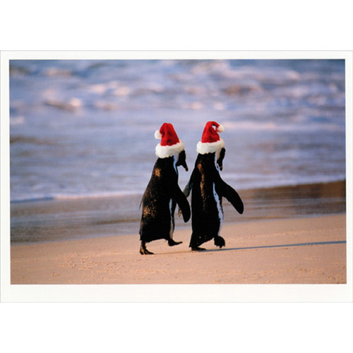 Penguins with Santa Hats Walking on Beach Cute Box of 10 Christmas Cards