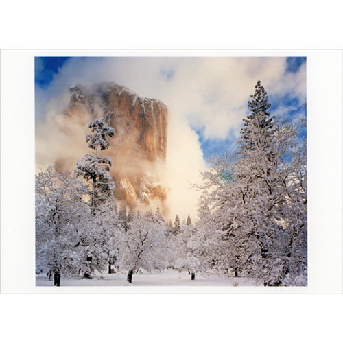 El Capitan: Yosemite National Park : Snow Covered Trees Box of 10 Christmas Cards