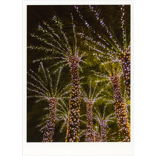 Hammock : Palm Trees with Lights : Purple Sky Warm Weather