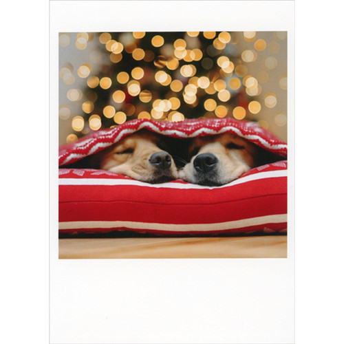 Two Sleeping Dogs Underneath Red Blanket Cute Box of 10 Christmas Cards