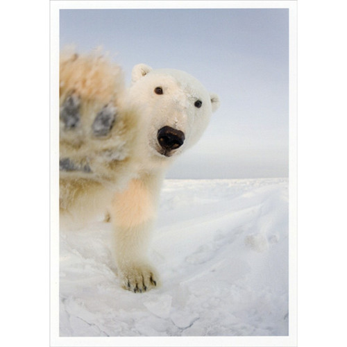 Polar Bear with Paw on Photo Cute Funny / Humorous Christmas Card