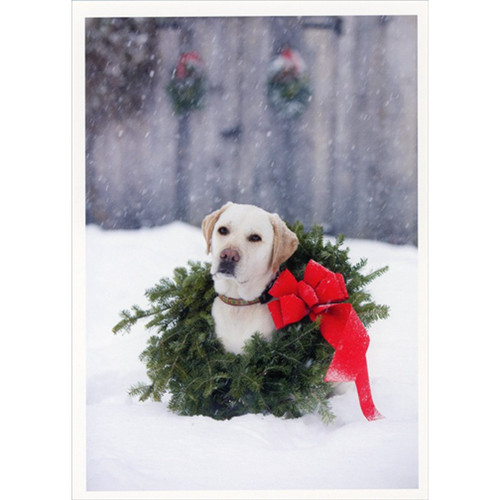 Labrador Wearing Wreath on Neck Cute Christmas Card