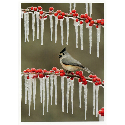 Bird on Branches : Berries and Icicles Christmas Card