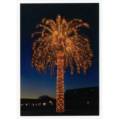 Palm Tree Lights at Nighttime Warm Weather / Tropical Christmas Card