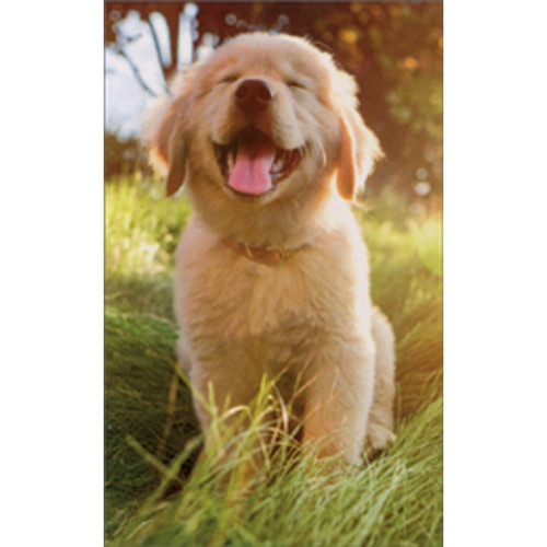 Golden Retriever Puppy Funny / Humorous Mini Blank Gift Enclosure Card