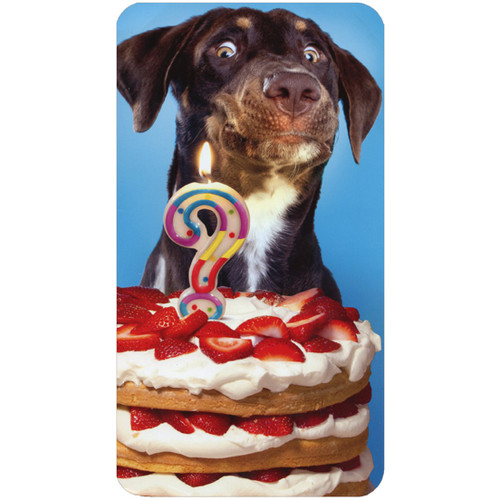 Dog With Question Mark Candle On Cake Oversized Funny / Humorous Birthday Card