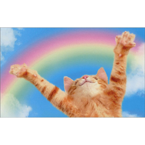 Kitten Rainbow Gift Enclosure Mini Blank Card