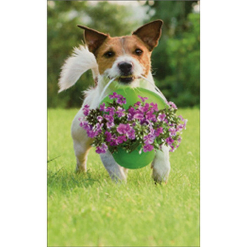 Dog With Bucket Of Flowers Gift Enclosure Mini Blank Card