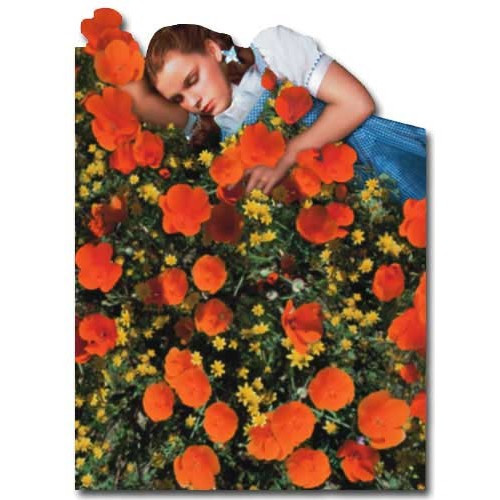 Wizard of Oz - Dorothy Poppy Field Die Cut Blank Note Card