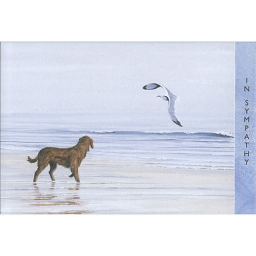 Dog and Seagull On Beach Signature Gallery Sympathy Card: In Sympathy