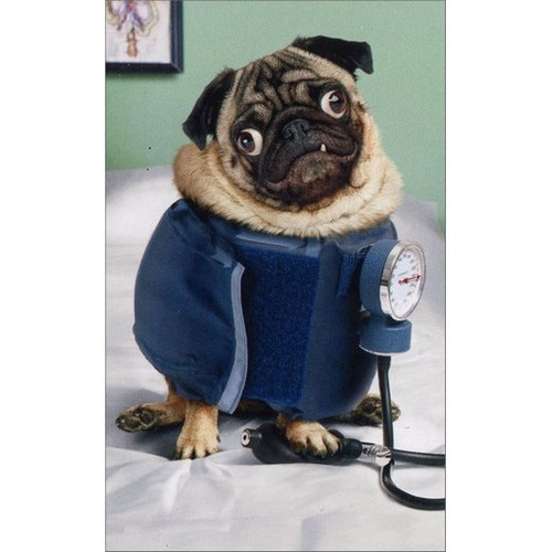 Blood Pressure Pug Mini Blank Gift Enclosure Card