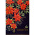 Poinsettias on Dark Background Grandmother Christmas Card: Grandmother