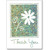 Flower on Holographic Foil Box of 25 Thank You Note Cards: Thank You
