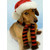 Weinerful Time Dachshund Dog Christmas Card