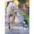 Dog And Horse Walking Deluxe Matte Blank Note Card