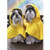 Rain Poncho Dogs At Waterfalls Funny Shih Tzu Anniversary Card