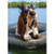 Basset Hound Wearing Sunglasses Funny Dog Birthday Card