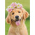 Golden Retriever Wearing Flower Crown Cute Dog Blank Note Card