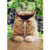 Cat With Glass Of Red Wine Funny Birthday Card