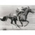 Jockey Eddie On Whirlaway America Collection Birthday Card