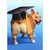 Corgi Dog with Grad Cap on Butt Funny/Humorous Graduation Card