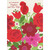 Red, Pink, Burgundy and White Flowers with Red Foil Accents Valentine's Day Card for Nephew and Wife: For a Wonderful Nephew and His Wife