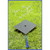 Grad Cap and Blue Tassel on Grass Photo with Silver Swirls Package of 8 Graduation Party Invitations: You're invited