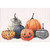 Spotted and Striped Pumpkins and Gourds and Carved Jack-o-Lantern Halloween Card