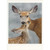 Brown Doe Nuzzling with Brown and White Spotted Fawn Box of 10 Wildlife Christmas Cards