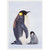 Emperor Penguin with Gray and White Baby Snuggling at Belly Box of 10 Wildlife Christmas Cards