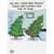 Tree Doctor Examining Tree: Dangly Things are Common Box of 10 Humorous / Funny Christmas Cards: Ah, yes…These red, dangly things are common this time of year…