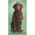 Chocolate Lab with Bow on Head and Wrapped in Lights Funny / Humorous Money Holder or Gift Card Holder Christmas Card