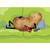 Sleeping Couch Potato A-Press Funny / Humorous Masculine Birthday Card for Him : Man : Men: Snack