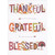 Thankful, Grateful, Blessed Fun Patterned Letters Thanksgiving Card: Thankful - Grateful - Blessed