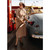 Woman Pumping Gas America Collection Feminine Humorous : Funny Birthday Card for Woman : Her