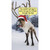 Reindeer Won't Pull Fat Guy on Sleigh Funny Money Holder / Gift Card Holder Christmas Card: You couldn’t get me to pull a fat guy on a sleigh through the sky!