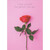 I Love You for the Person You Are: Single Red Rose on Pink Photo Valentine's Day Card for the One I Love: I love you for the person you are.