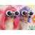 Two Dogs Wearing Pink and Purple Wigs and White Sunglasses Funny / Humorous Friendship Card