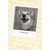 Weeeeeee! Smiling Dog on Linoleum Floor in Instant Camera Photo Frame Funny / Cute Birthday Card: Weeeeeee!