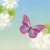 Pink, Blue, Purple, Yellow and Orange Garden Butterflies and Flowers 5-Inch 3D Pop-Up All Occasion Greeting Card: Closed