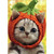 Kitten Wearing Knit Pumpkin Hat Cute Halloween Card