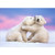 Polar Bear Cubs Cute Valentine's Day Card