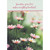 Pink Daisies Photo: Your Love Makes Everything Beautiful Mother's Day Card for Grandma: Grandma, your love makes everything beautiful.