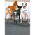 3 Dogs Looking at Table Funny / Humorous Dalmation Birthday Card