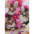 3 Kittens Birthday Card from All
