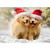 Two Golden Puppies Running in Snow Cute Dogs Christmas Card