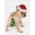 Puppy with Ornament Hanging on Tail Funny / Humorous Christmas Card