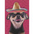 Chihuahua Wearing Tiny Sombrero Funny Valentine's Day Card
